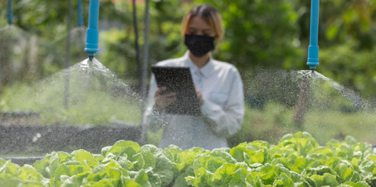 agriculture2